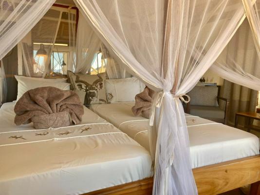 Desert Homestead Lodge - 208651