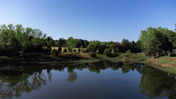 Gooderson Monks Cowl Golf Resort - 208776