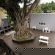 Dawson Manor Guest House - 208966