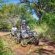 Nibela Lake Lodge - 209034