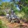 Nibela Lake Lodge - 209034
