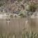 Matjiesvlei Cottages - 209173