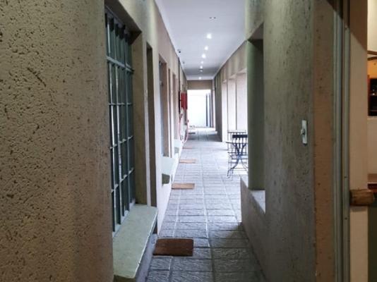 Euforia Guesthouse - 209264