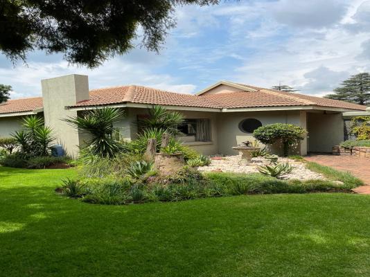 Euforia Guesthouse - 209270