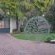 Euforia Guesthouse - 209271