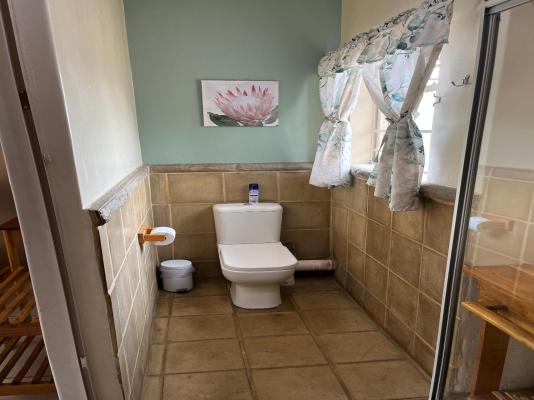Euforia Guesthouse - 209274