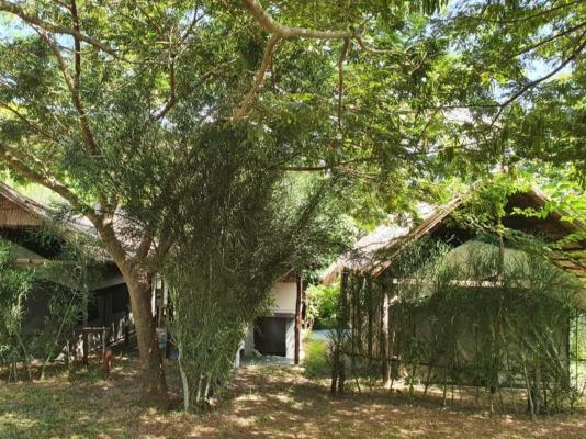 Boa Vista - 209367