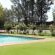 Big Tree B&B - 209495