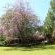 Big Tree B&B - 209501