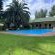Big Tree B&B - 209504