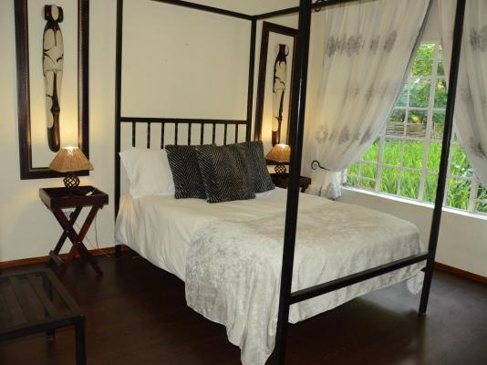 Big Tree B&B - 209520