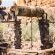 Canyon Lodge - 209860