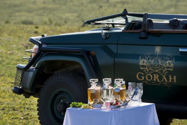 Gorah Elephant Camp - 209958