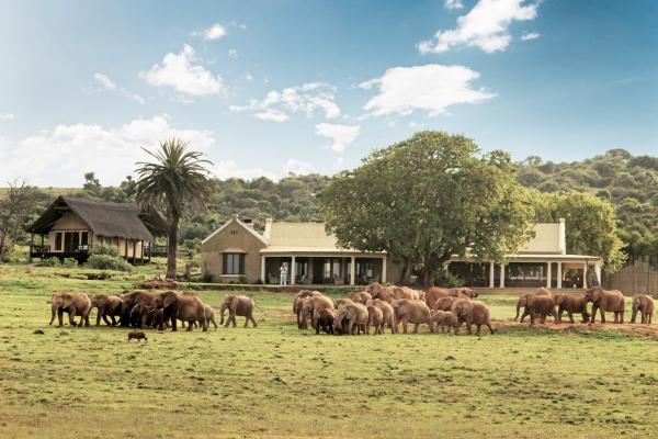 Gorah Elephant Camp - 209969