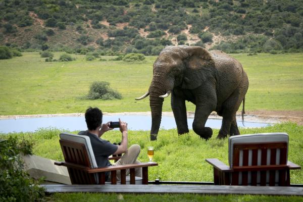 Gorah Elephant Camp - 209976