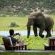 Gorah Elephant Camp - 209976