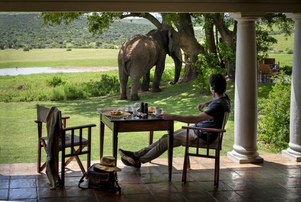 Gorah Elephant Camp - 209978
