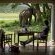Gorah Elephant Camp - 209978