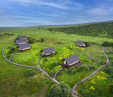 Gorah Elephant Camp - 209979