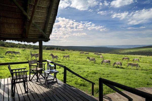 Gorah Elephant Camp - 209980