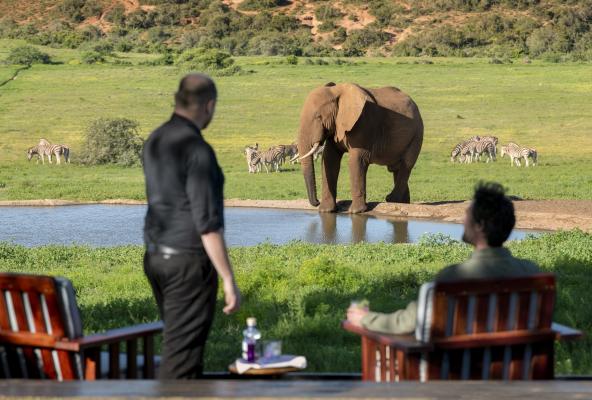 Gorah Elephant Camp - 209983