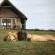 Gorah Elephant Camp - 209988