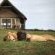 Gorah Elephant Camp - 209988