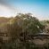 Bundox River Lodge - 210004