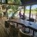 Bundox River Lodge - 210008