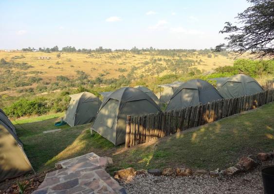 Tala Private Game Reserve - 210041