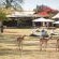 Tala Private Game Reserve - 210047