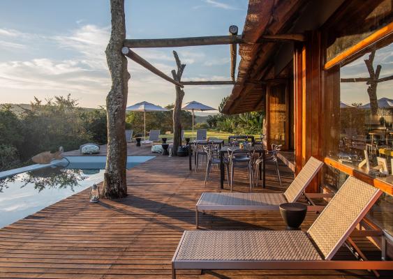 Tala Private Game Reserve - 210056