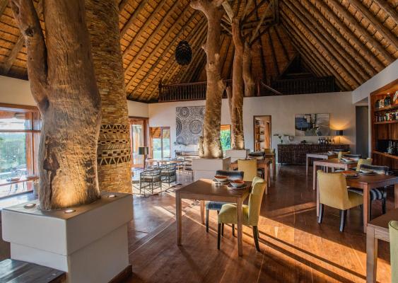 Tala Private Game Reserve - 210057