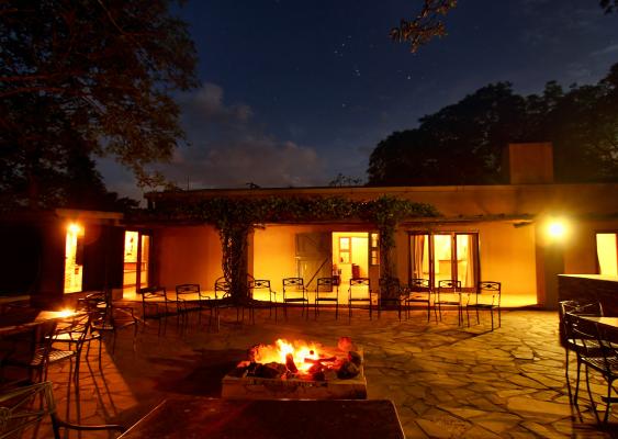 Tala Private Game Reserve - 210067