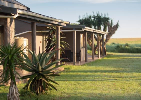 Tala Private Game Reserve - 210071