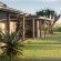 Tala Private Game Reserve - 210071