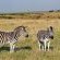 Tala Private Game Reserve - 210082