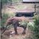 Pilanesberg Private Lodge - 210190