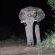 Pilanesberg Private Lodge - 210192