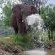 Pilanesberg Private Lodge - 210195