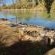 Asame@Oppi.Rivier - 210286
