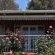 Fern Hill Hotel - 210310