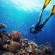 Blue Marlin Hotel - 210383