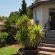 Stay on Top - Northern Cape - 210432