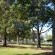 George Country Resort - 210454