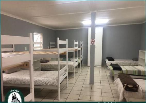 George Country Resort - 210541