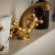 5 Konings Accommodation - 210840
