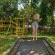 Gooderson Mtunzini Forest Lodge - 210976