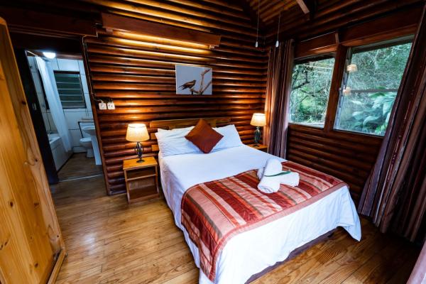 Gooderson Mtunzini Forest Lodge - 210983