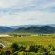 Avalon Springs - 211033